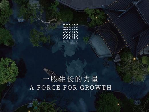 T.D.P设计丨柏影景观视觉设计