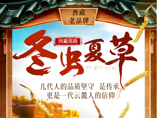 虫草 藏干 滋补品 详情