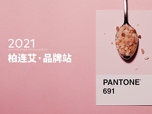 点硕&柏连艾 企业官网设计