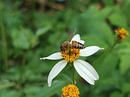 荣耀magic6手机摄影，直出效果。感叹手机影像强大！