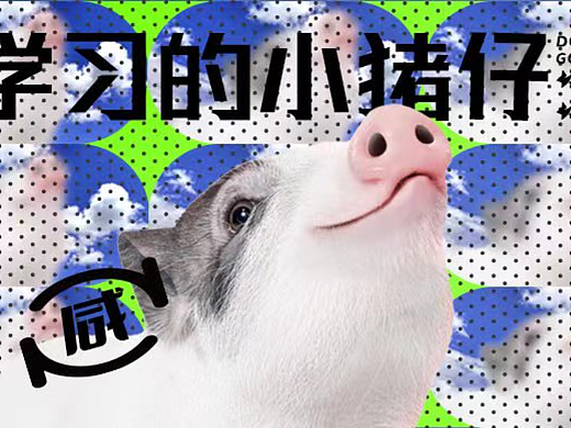 小猪小猪小猪