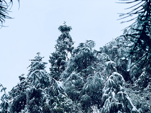 我眼中的冰雪世界