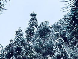 我眼中的冰雪世界