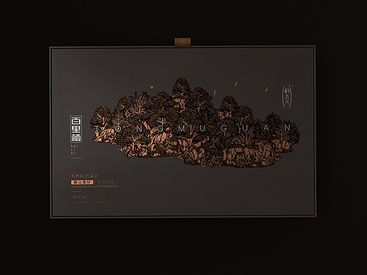 桐木关-高端礼茶-品牌包装设计
