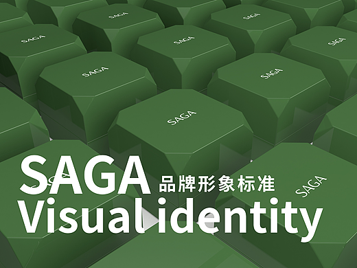 SAGA | 时尚手表 | 品牌设计VI