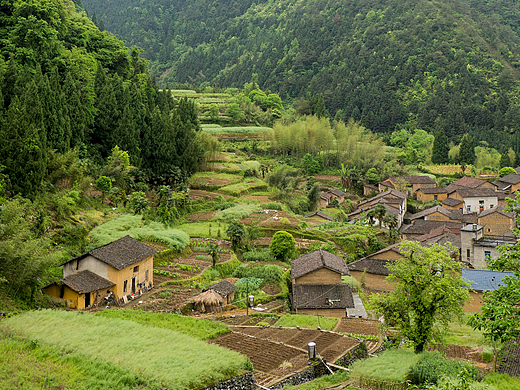 空山新雨