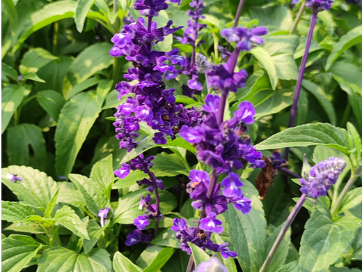 春色美景 流連忘返（個人主頁-ZNjQzMTgzODQ=） - 風(fēng)光攝影 - 站酷設(shè)計(jì)師Rechryya原創(chuàng)素材 - 站酷ZCOOL