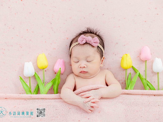 粉色小葡风（裹布）