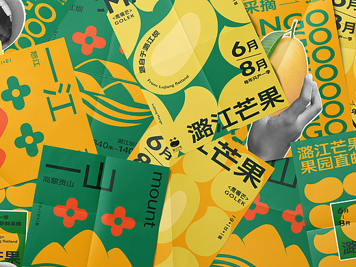 潞江芒果—为家乡农产品做设计