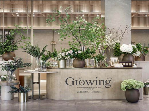 茁野（growing）花店品牌设计