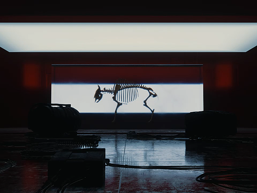 电影感练习(原创)