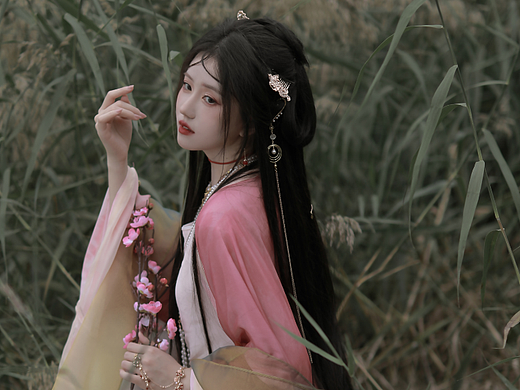 网络杂图《美人兮》见之不忘