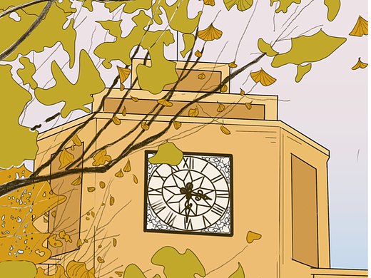 银杏学院的春夏秋冬