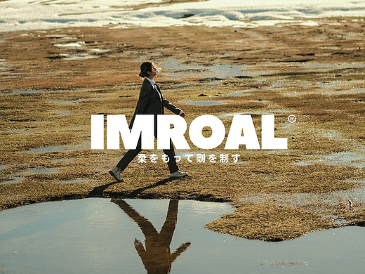 imroal-刚柔并济