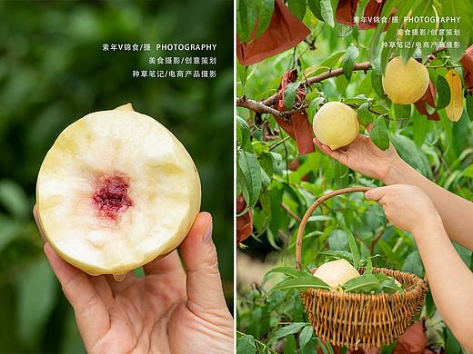白桃拍摄/自然风氛围感/生活/水果美食摄影/宜昌果园