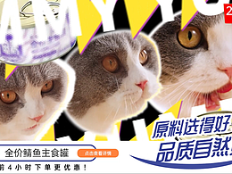 猫咪罐头 X 品质自然好 X Dir Cut