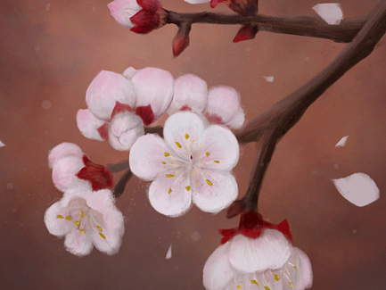 春日花鉴丨春天也是远道得来的浪漫