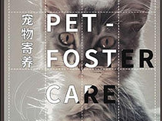 宠物系列海报练习--建立模板风格