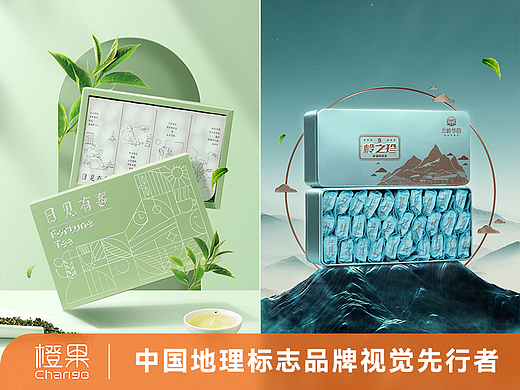 X2 国企茶叶详情页分享 云岭华韵 / 珍山素全