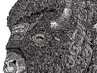 2022.12.23毣柞山海之西山经-小华山-野牛