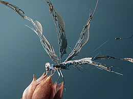 C4D