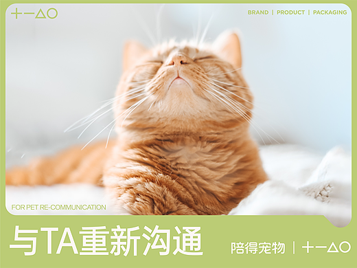 与TA重新沟通｜陪得宠物x佳简几何