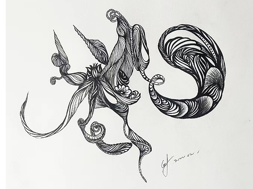 茧