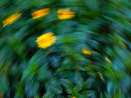 看好了，哥们今天给你们旋一个！