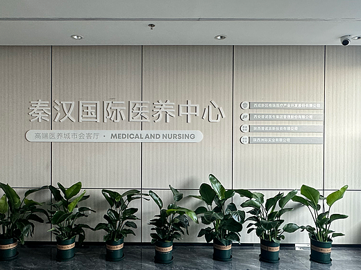 格瑞医疗秦汉国际医养中心展厅设计及建设