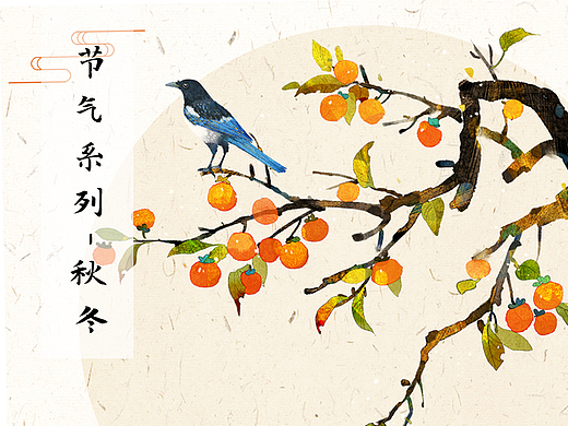 收获的节气系列——秋冬