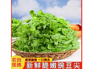 新鲜碗豆荚电商爆款精选主图更新