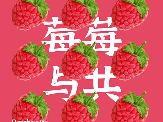 B计划第八天