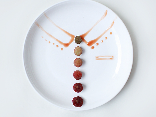 杨梅是个好演员