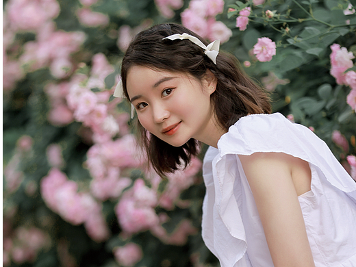 【暮春初夏 蔷薇花开】