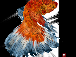 五月的七零八落