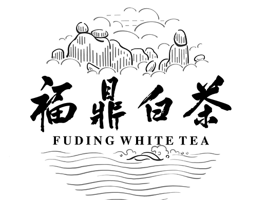 福鼎白茶（四时吉祥）实验作品