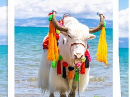 旅游海報(bào)設(shè)計(jì)