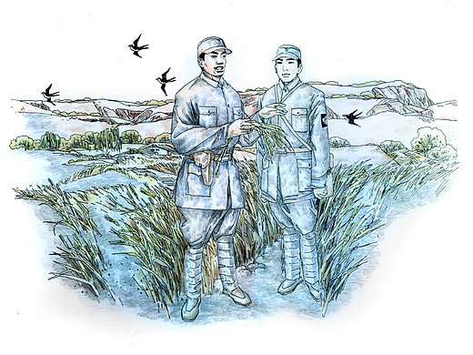 整理一下连环画,博物馆不同风格的连环画