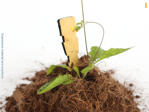 歸土 Bark BACK to soil（個人主頁-ZNjc5MjE2MDA=） - 生活用品 - 站酷設(shè)計(jì)師風(fēng)起落原創(chuàng)素材 - 站酷ZCOOL