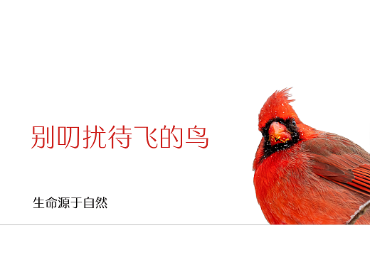 鳥類人間（個人主頁-ZNjIxNzQwNDA=） - 海報 - 站酷設計師哈哈大魔王原創(chuàng)素材 - 站酷ZCOOL