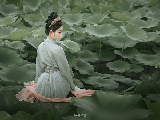 荷花不知道，自己便是夏天