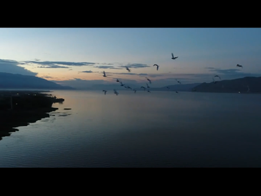 初期练习-城市混剪宣传片(杭州)
