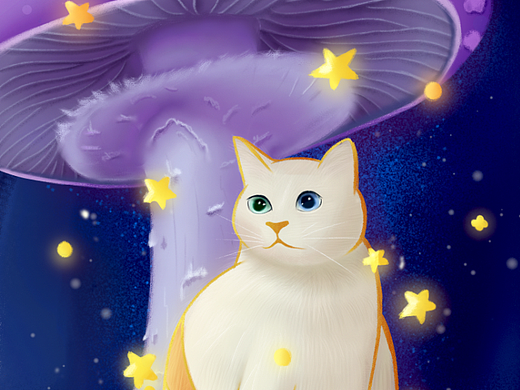 【繁星2.0】第二期第一周