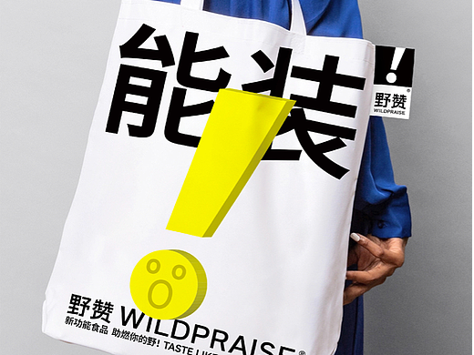 野赞WILDPRAISE 品牌视觉形象设计