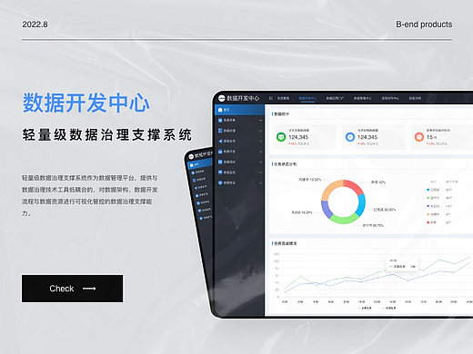 轻量级数据治理支撑系统