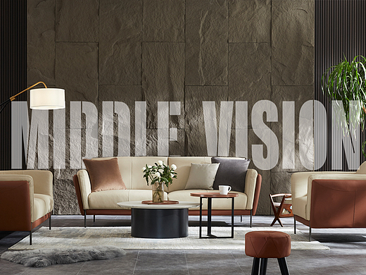 MiddleVision x 喜临门