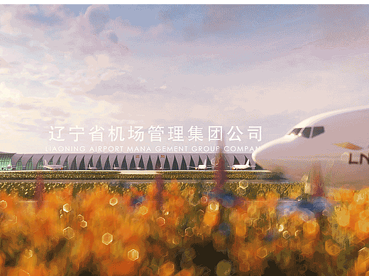 沈阳桃仙机场教学片