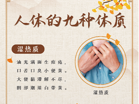 人体九种体质易拉宝