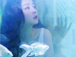 摄影