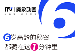 MG动画